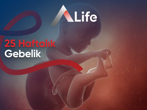 25 Haftalık Gebelik